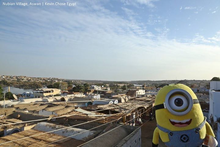 aswanaswan