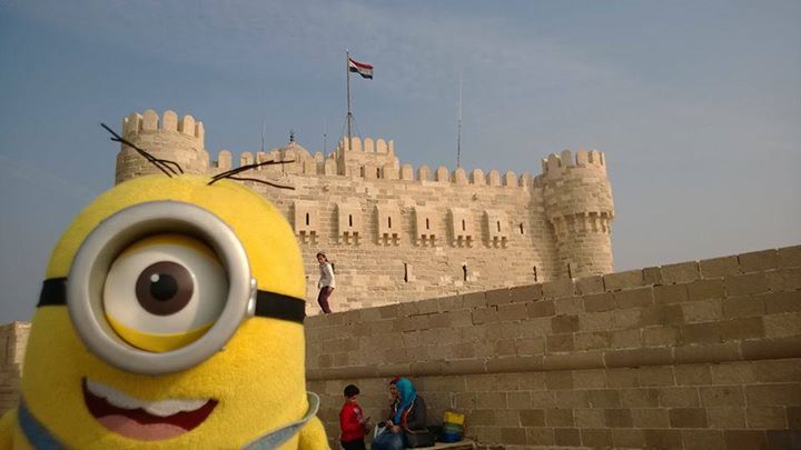 citadelalex