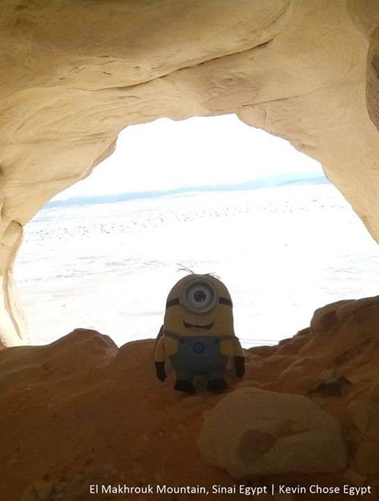 mtinsinai