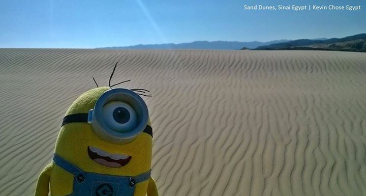 sanddunessinai