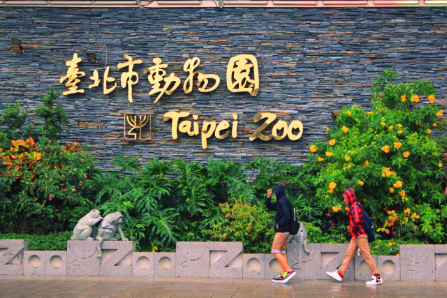 ta[ei zoo
