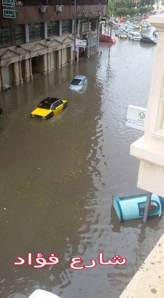 alexandriaflooded4