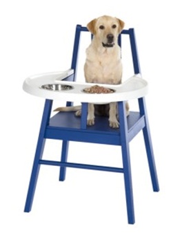 doggy
