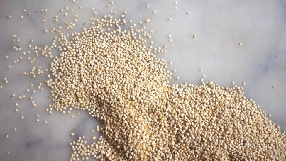 Quinoa