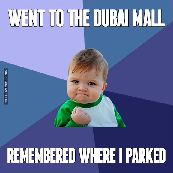 trip to dubai meme