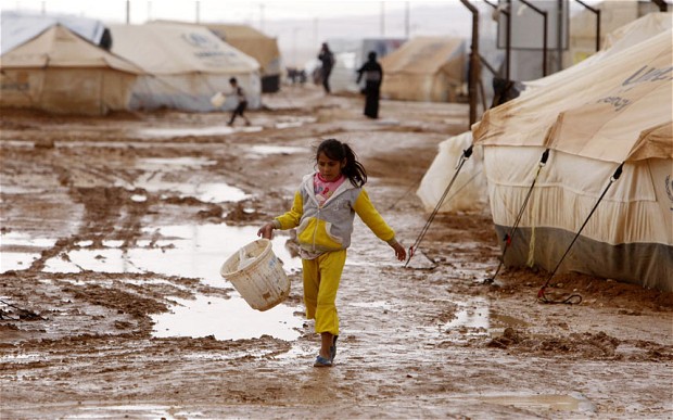 refugee