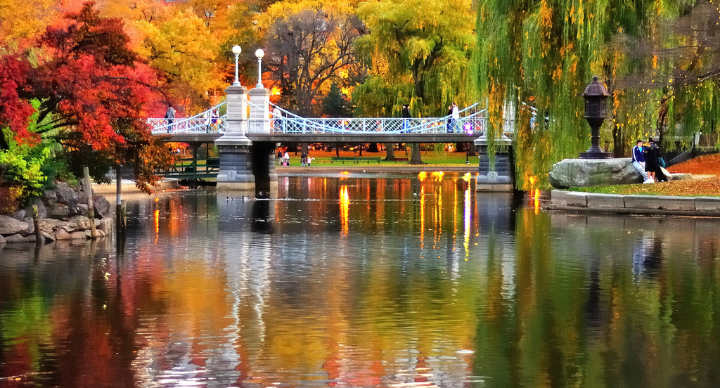 (Michael Krigsman/flickr)