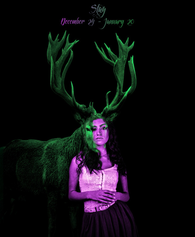 1 Stag
