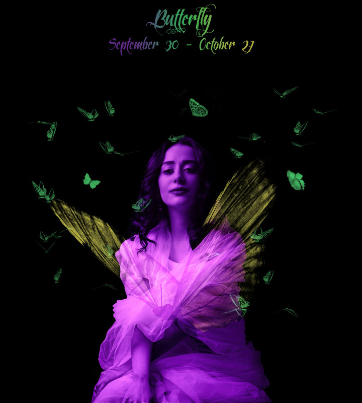 11 butterfly