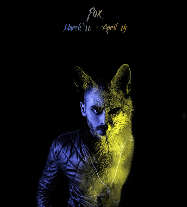 4 fox