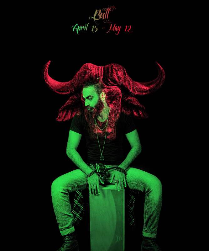 5 Bull
