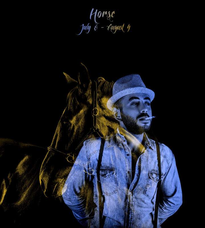 8 Horse