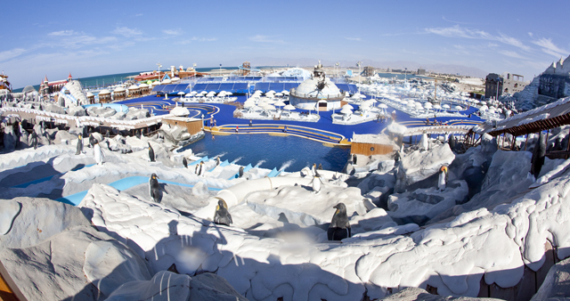 Ice Land