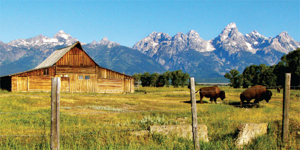 600-wyoming