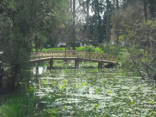 -el-orman-gardens-_33167_33167