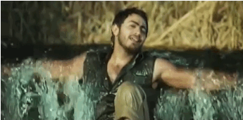 tamer hosy