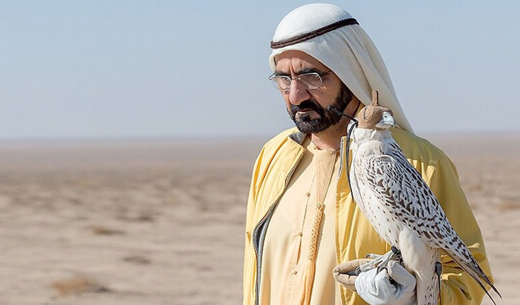 The History Of Falconry And How Important It Is To The Uae