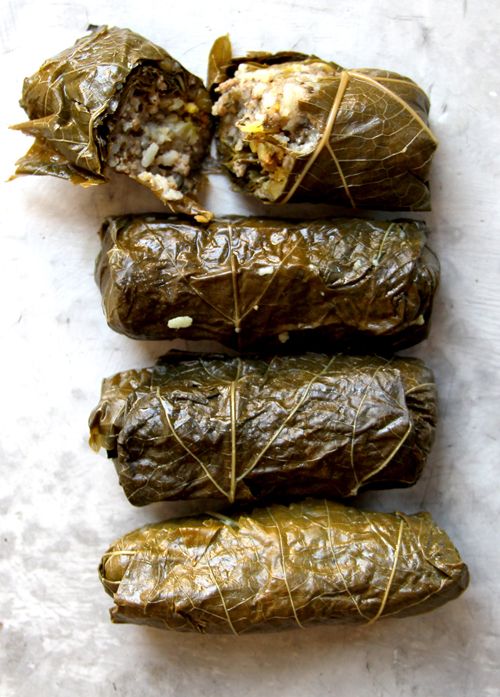 7 Vine Leaves Recipes Mama Would Definitely Approve of