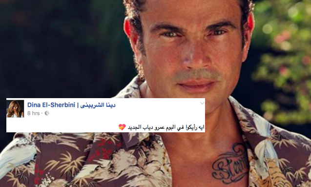 Amr Diab May Have Written a Song About Dina El-Sherbini 