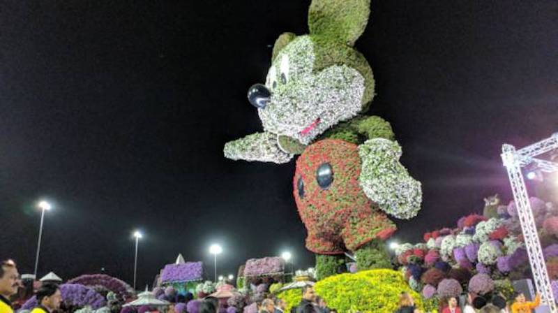 Mickey Mouse Just Came to Dubai Miracle Garden In the 