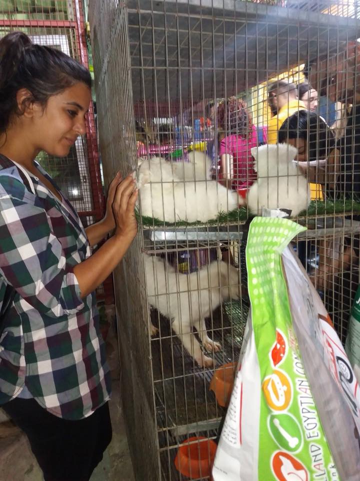 Egypt Now Has a Watch That Challenges Animal Cruelty in Pet Shops