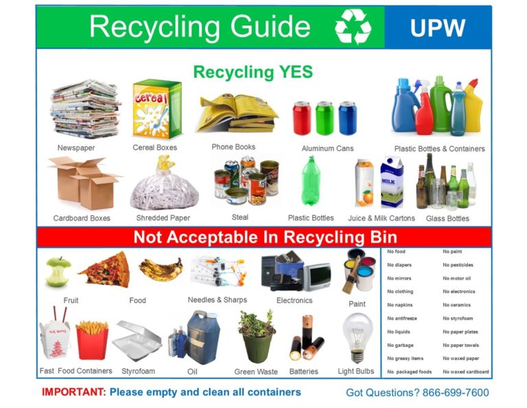 Your Guide to Eliminate Waste at Home - Scoop Empire