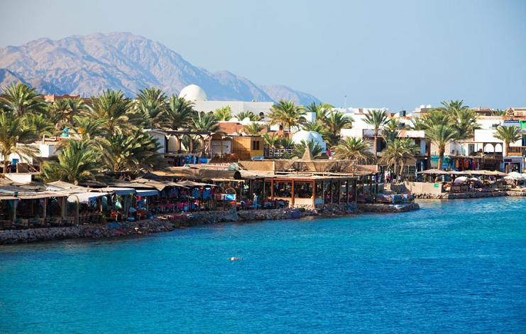 Dahab Go Green: The Coastal Town's Initiative to Plant 600 Trees ...