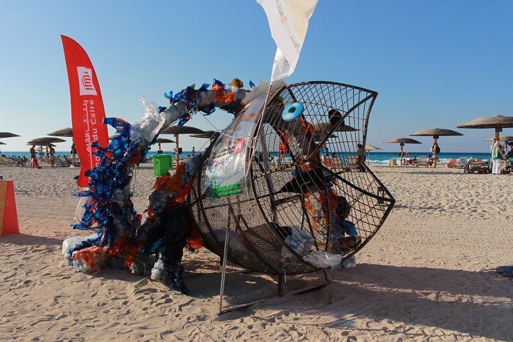beach-environment-alex-north-coast