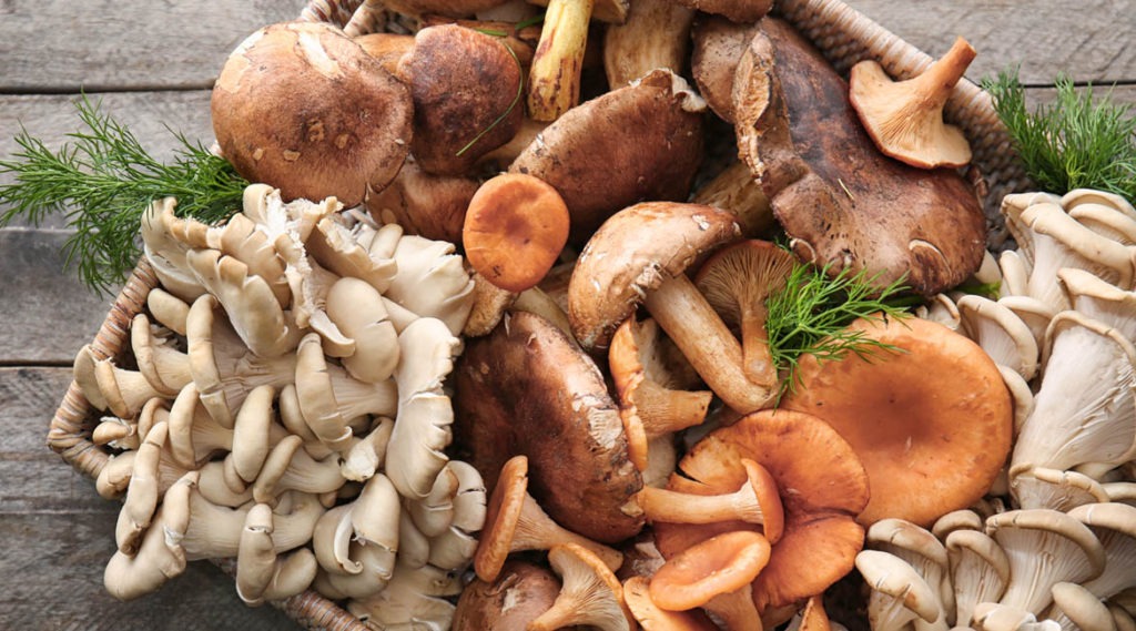 mushroom-superfood