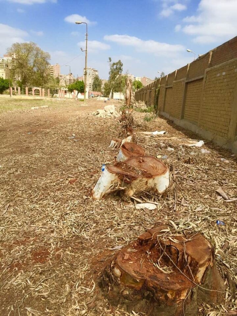 For A Greener Egypt Irrigation Law Sets Penalties For Cutting Down