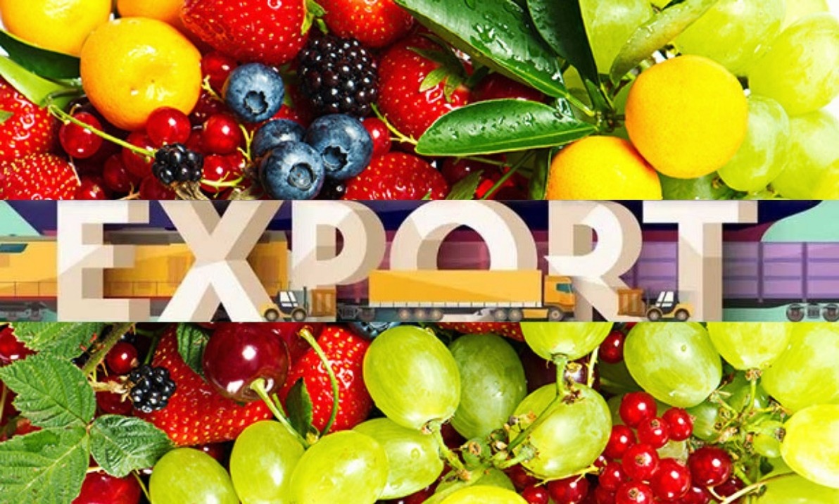 From Egyptian Farms to Japanese Stores These Local Fruits Continue to