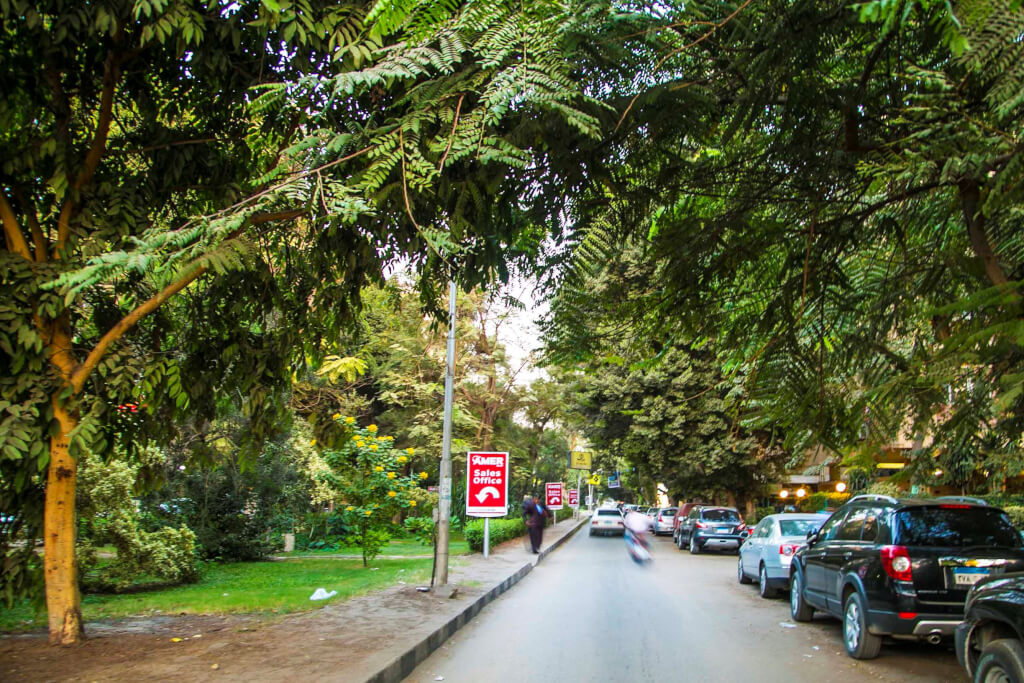El-Maadi