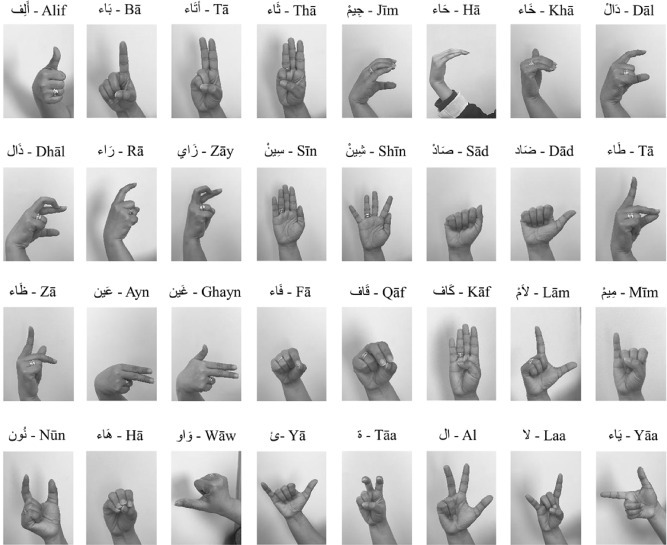 International Sign Language Day