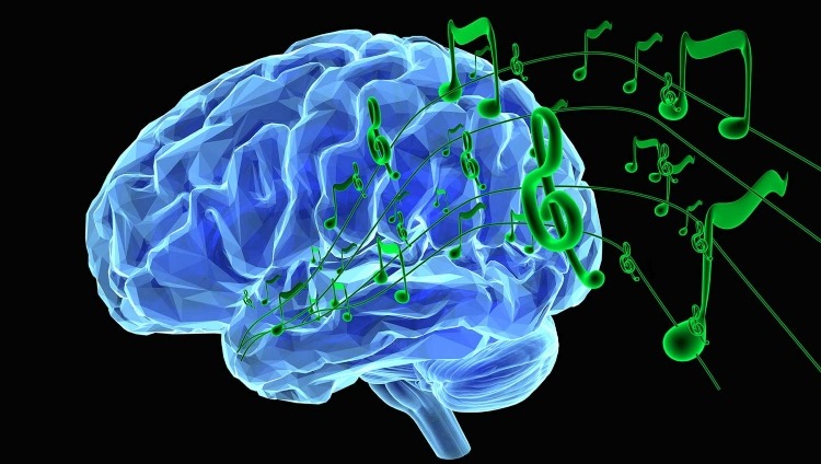 Music and the brain
