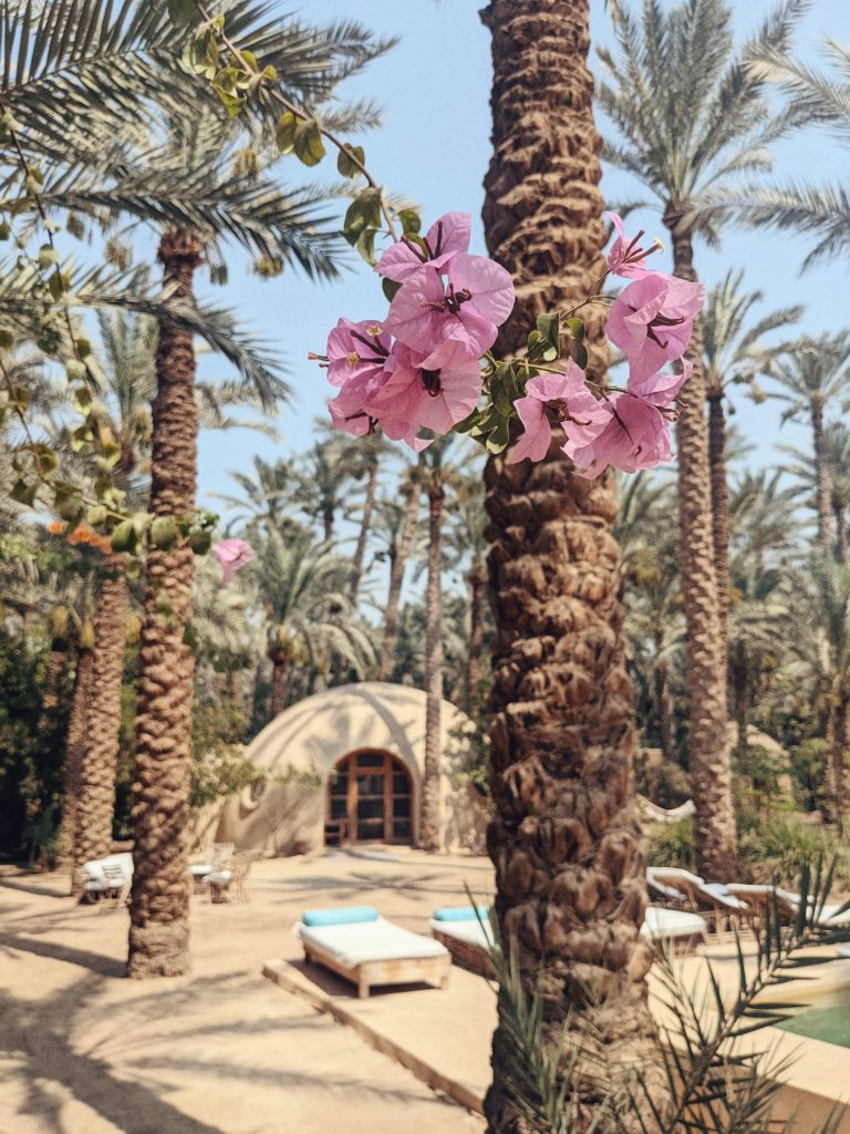 Yoga retreat centre Ardi in Dashur, Egypt