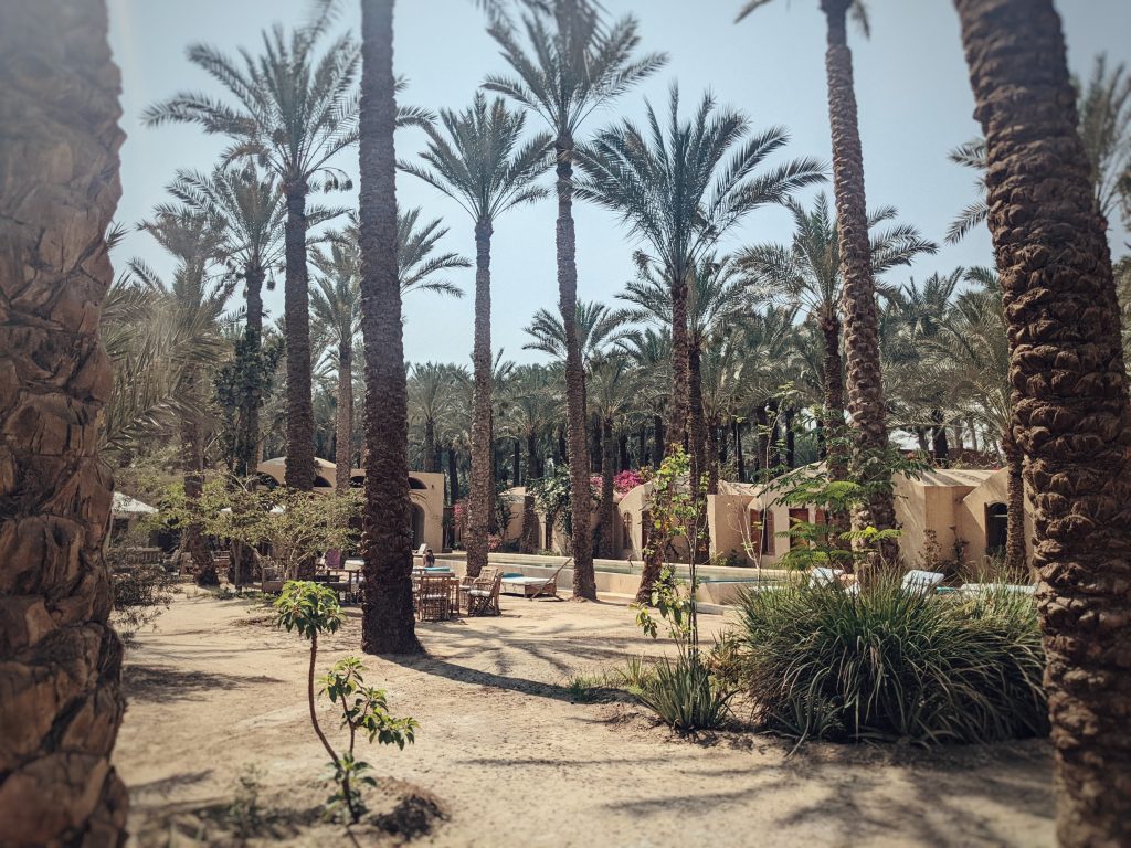 Yoga retreat centre Ardi in Dashur, Egypt