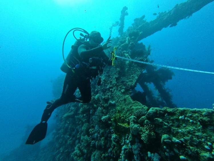 Shipwrecks And Roman Pots: History Uncovered Through Egypt's Maritime ...