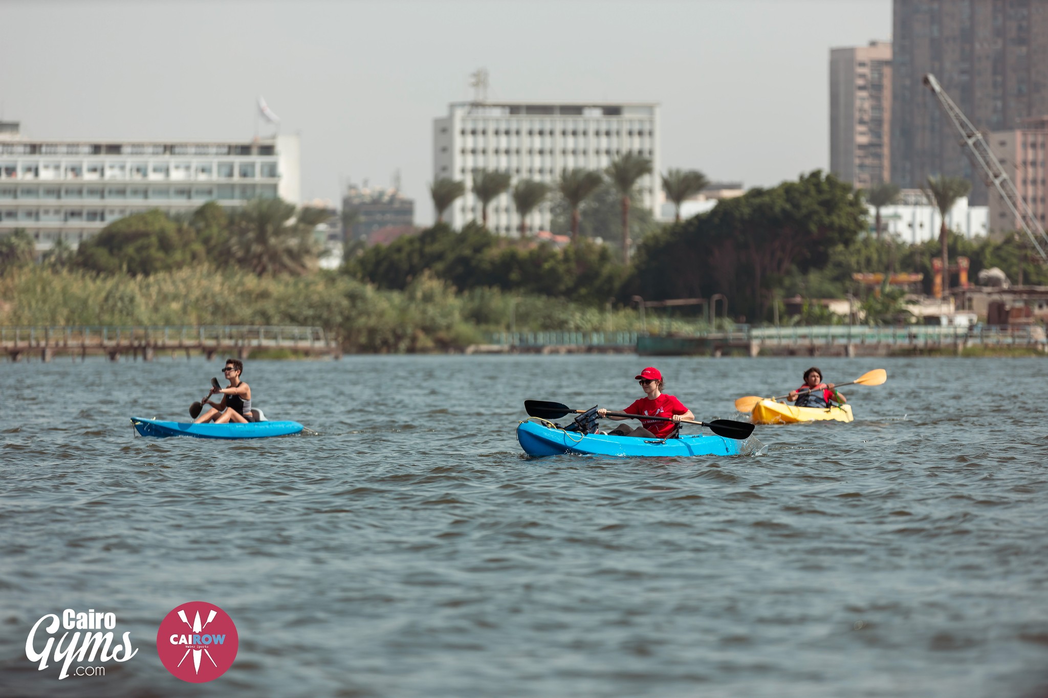 Kayaks and Rowboats Take Over the Nile for Cairow Marathon Scoop Empire
