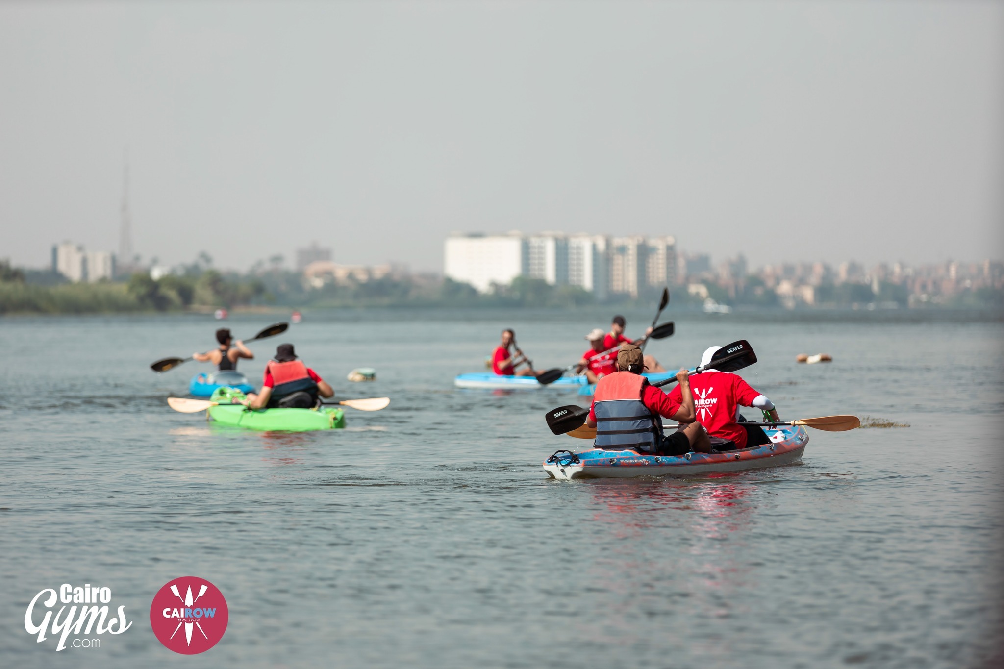 Kayaks and Rowboats Take Over the Nile for Cairow Marathon Scoop Empire