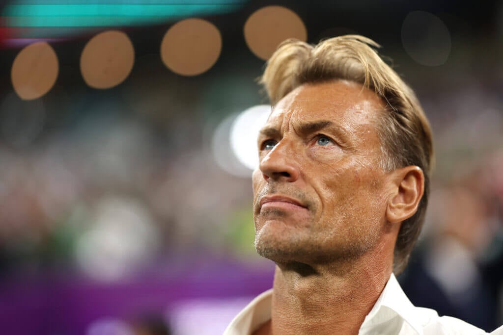 What is the tea on French Daddy Herve Renard?