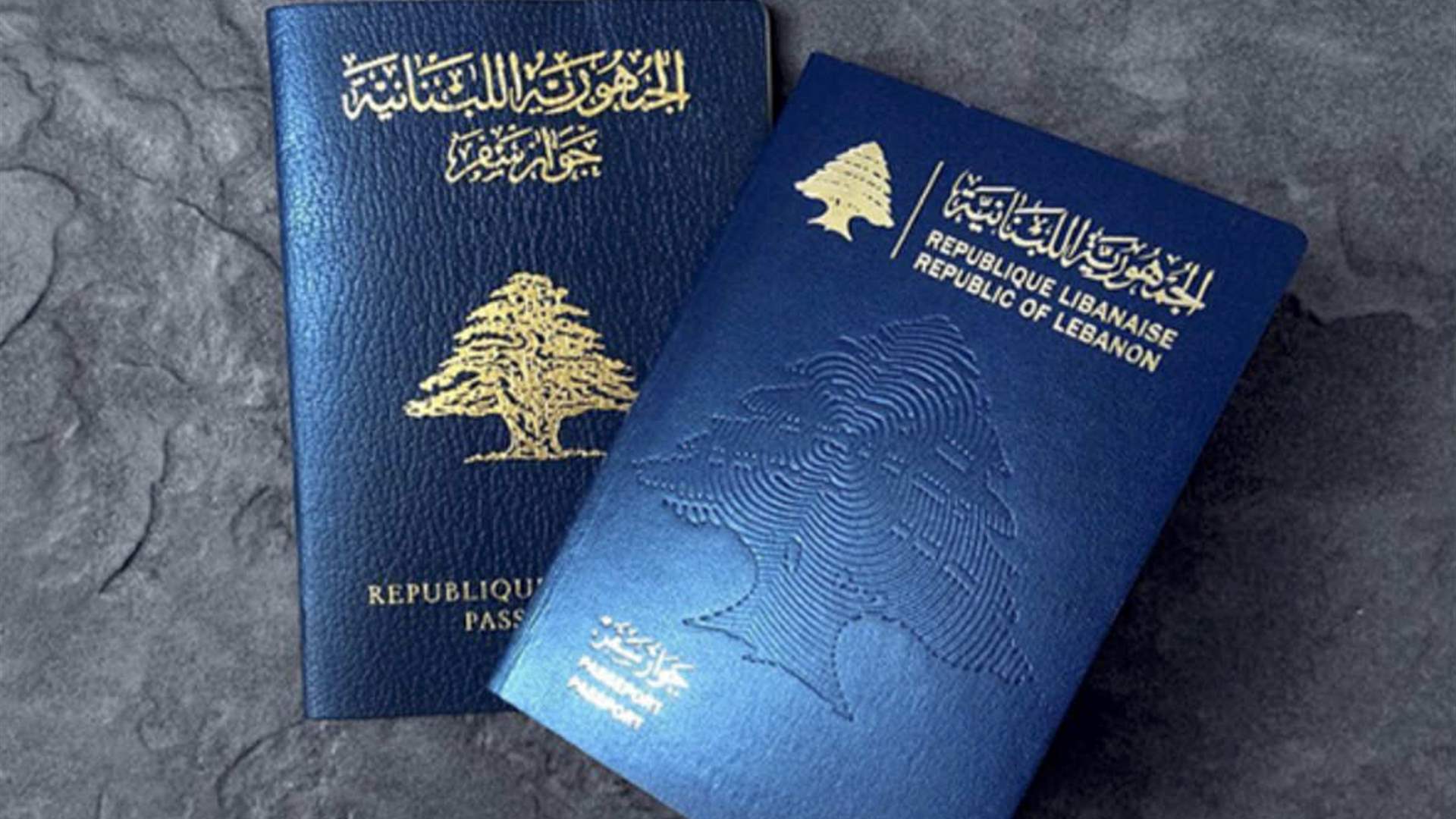 Passport Renewal Fees Continue To Increase On Lebanese Citizens Scoop