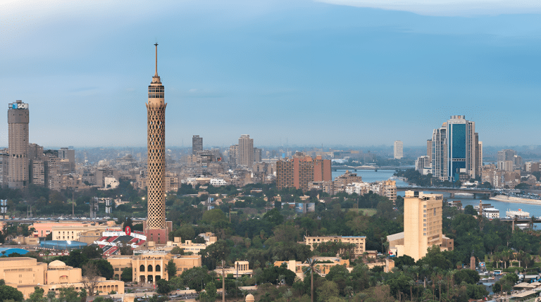 Zamalek to Host Its First-Ever Book Fair This October