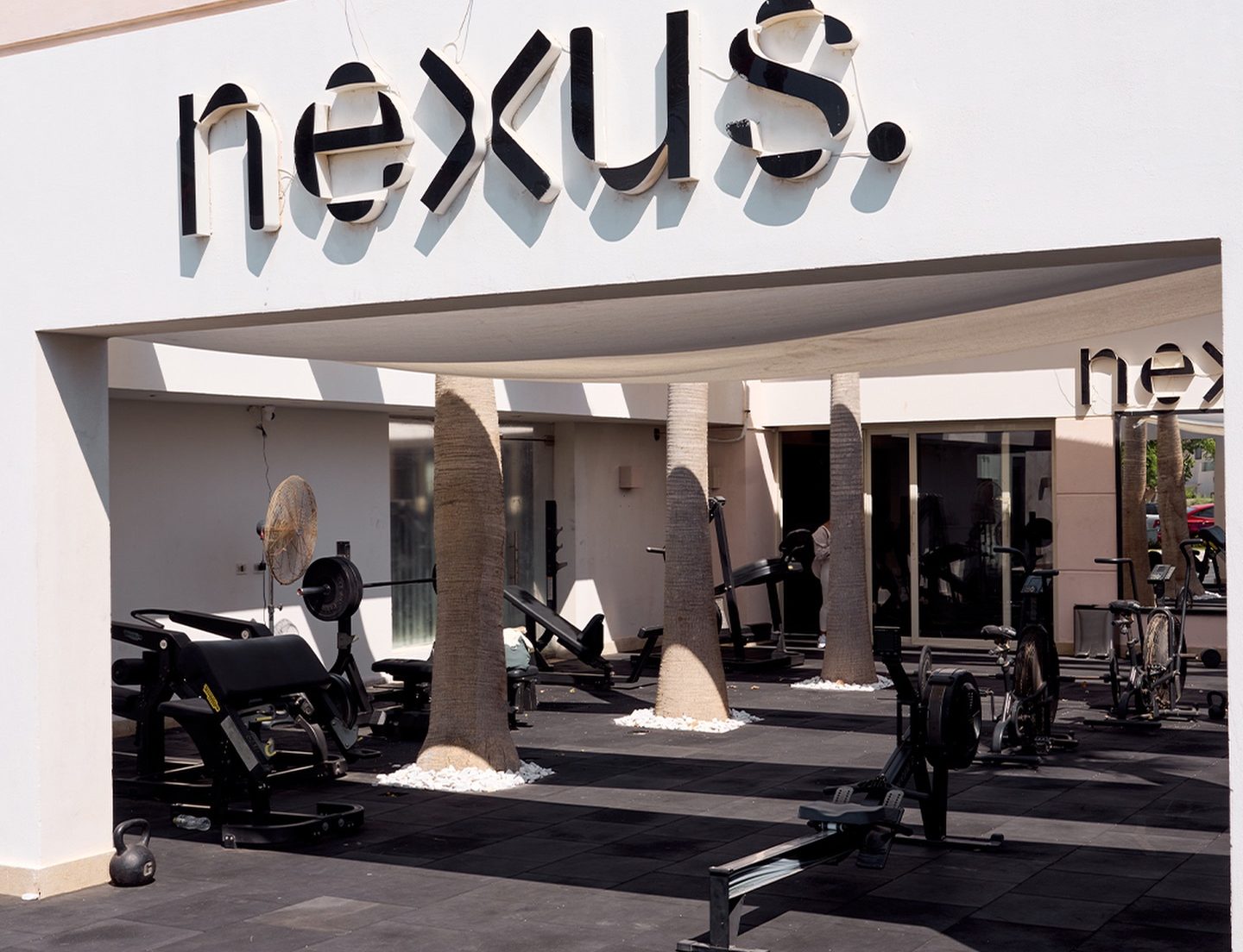 7 Gyms in Egypt to Visit If You’re Ready to Take Fitness Seriously